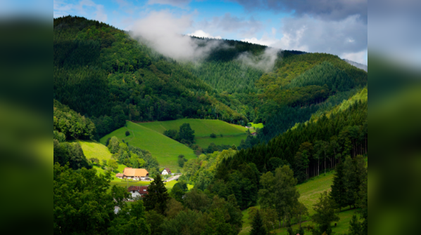 Black Forest: Germany