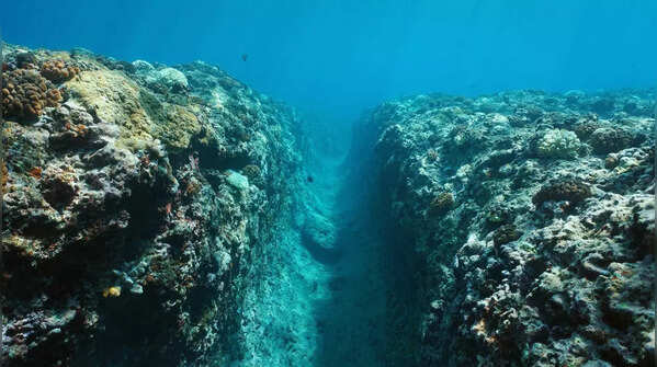 Could the Pacific Plate be falling apart? Scientists uncover startling new faults