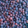 Phalsa