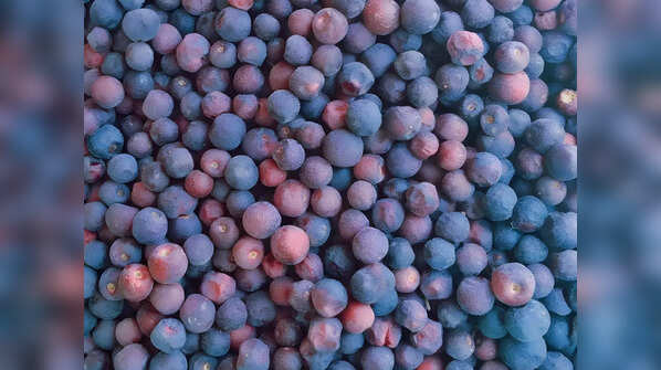 Phalsa