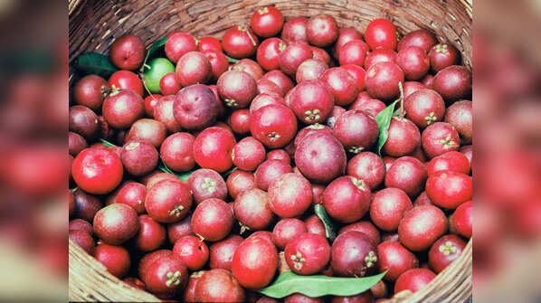 Kokum