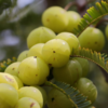 Truth about ‘natural vitamin C booster’