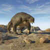Scutosaurus 