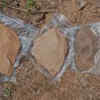 Ideal Stone age habitat
