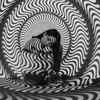 3 pros of optical illusion personality tests
