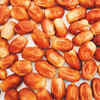Zahidi Dates