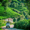 Munnar, Kerala