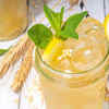 Barnyard Millet Lemon Sherbet