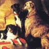 Queen Victoria and her favourite companions