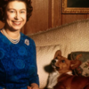 Queen Elizabeth II and her well-known Corgis