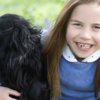 Modern royal pets: Keeping the tradition alive