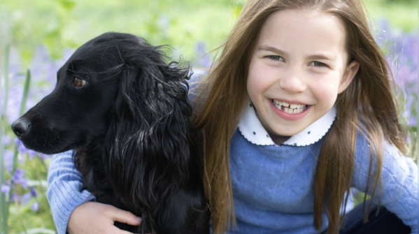 Modern royal pets: Keeping the tradition alive