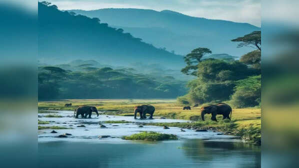 Periyar Wildlife Sanctuary, Kerala
