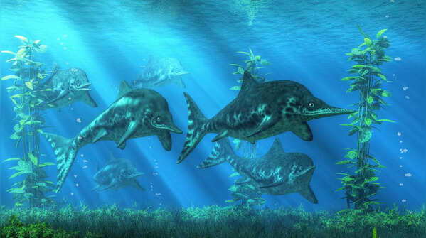 Ichthyosaurs