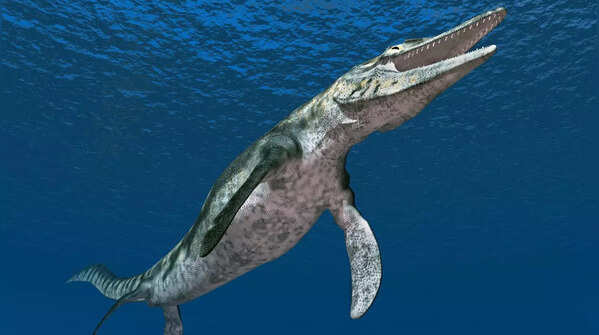 Mosasaurs
