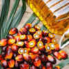 Common adulterants used in mustard oil