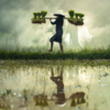 Farmer’s carries