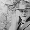  “The ideas so far produced are insufficient for the interpretation of the dream.”