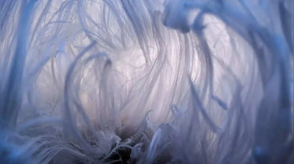 Berthold Grünhagen Hairy Ice Cave