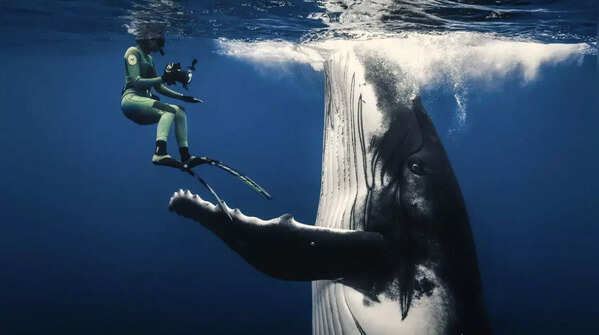 Sina Ritter: Sweet Girl’s Essence