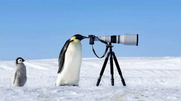 Thomas Vijayan: One photo among the best