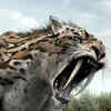Article image for: <i class="tbold">sabre</i> tooth cat