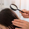 How to use mint for dandruff and a greasy scalp?