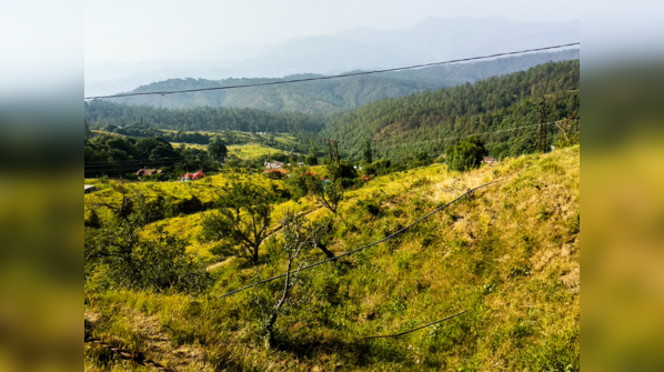 Ranikhet
