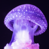 Article image for: Into the <i class="tbold">deep sea</i>
