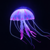 Immortal Jellyfish (Turritopsis dohrnii)