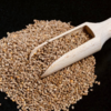 Barnyard millet