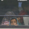 ​Through the Window of Peace