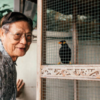 Myna