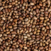 Moth dal (matki dal)
