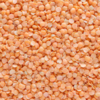 Masoor dal (red lentils)