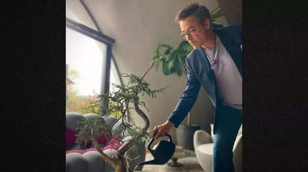 Unique sofa, growing Bonsai, and a glass frame