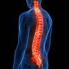 So, what causes paralysis?
