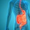 Aids digestion naturally