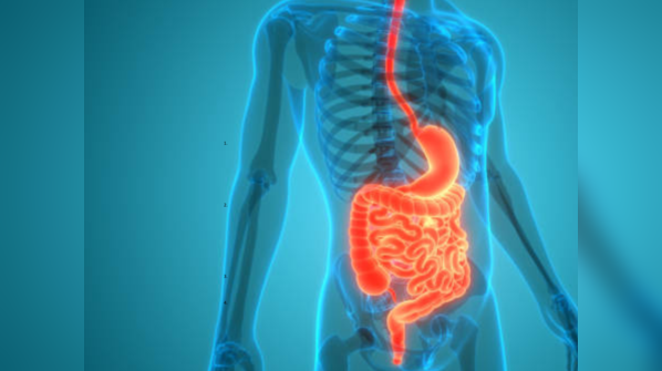 Aids digestion naturally