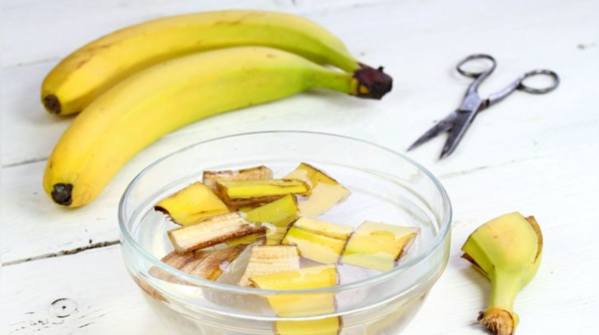 An eco-friendly choice for good hair health