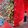 Exploring Haslla Art World