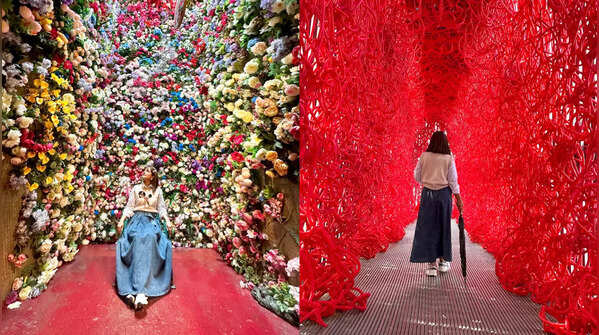 Exploring Haslla Art World
