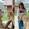Peaceful Time at Samyang Ranch