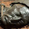 What is natural mummification