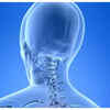 All brain disorders