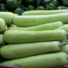 Article image for: <i class="tbold">bottle gourd</i>