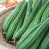 Article image for: <i class="tbold">ridge gourd</i>