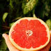 Reduces Appetite Naturally