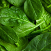 Raw spinach
