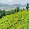 Munsiyari, Uttarakhand
